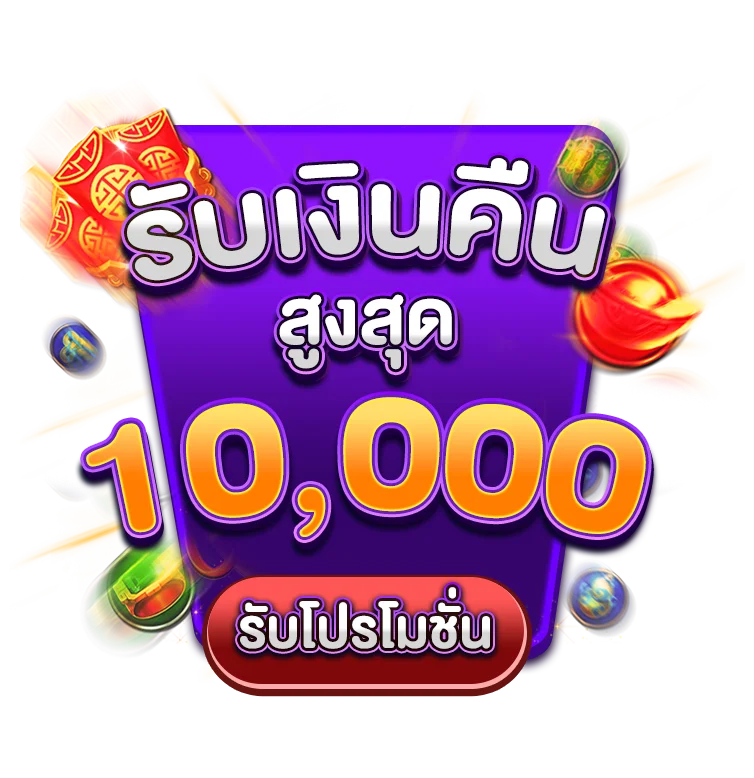 pro6-
